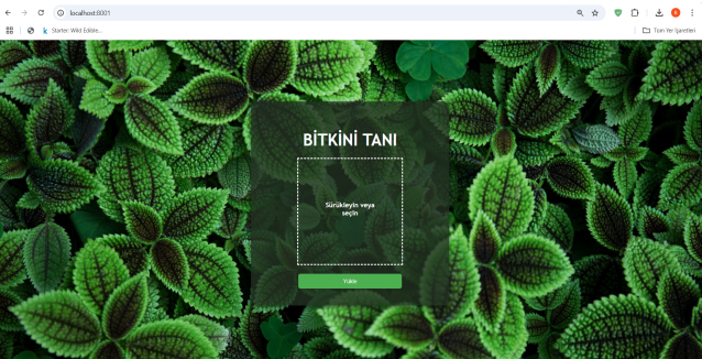 Plant