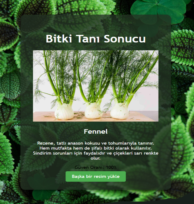 Bitki 2